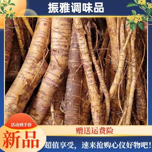 桑树根泡酒煲汤泡水食用农产品农家老桑葚根中草材商用江西特产 现挖